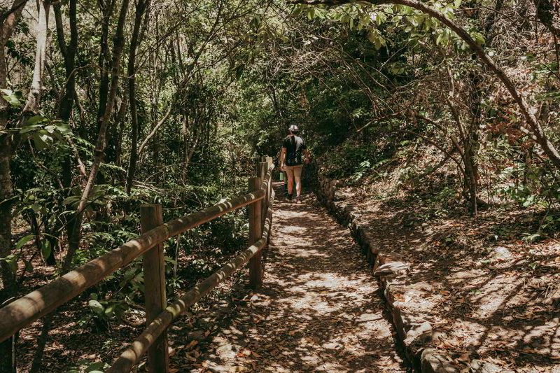 Los Tilos de Moya Hike